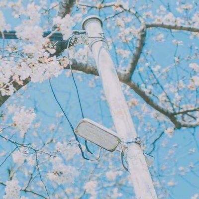 法治课｜法律是如何界定网暴的？与正常的批评、维权有何区别？
